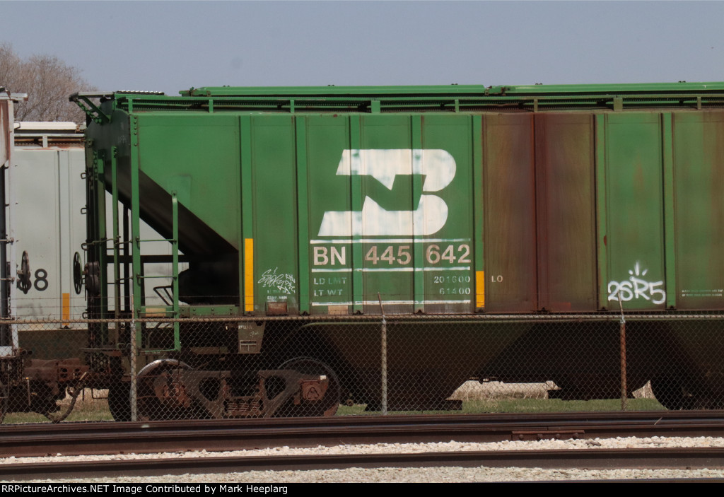 BN 445642